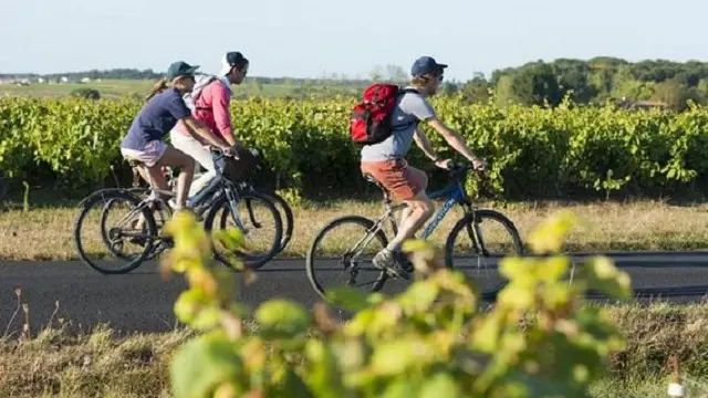 Vélo Et Fromages