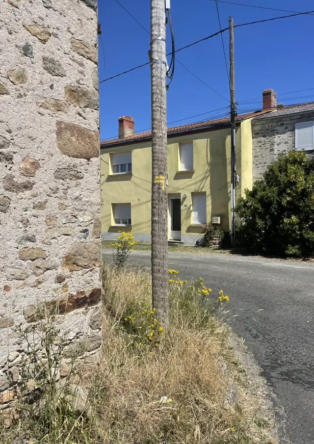 Img 0709